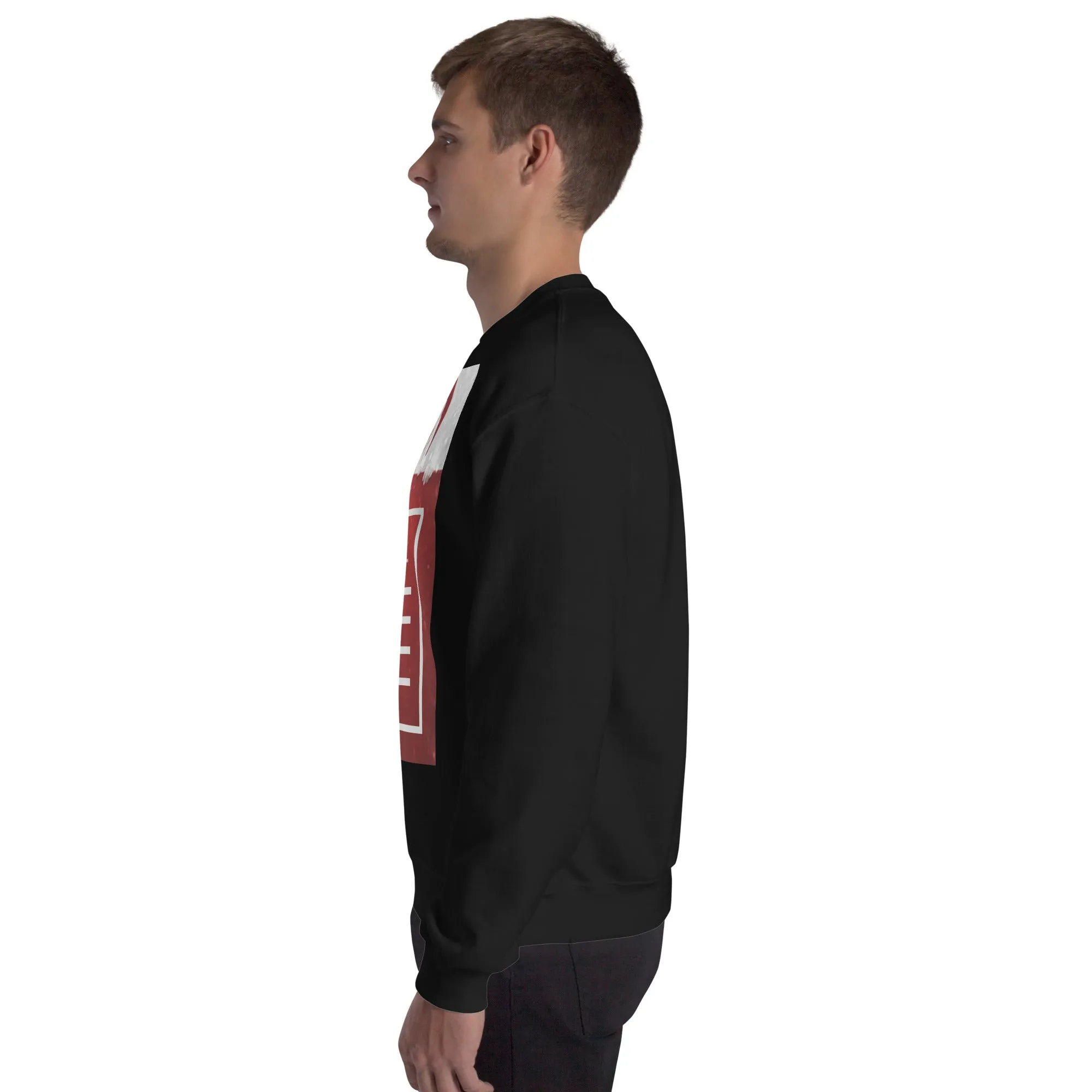 Dear Santa Christmas Sweatshirt (Glamourange Christmas Sweatshirt Men)