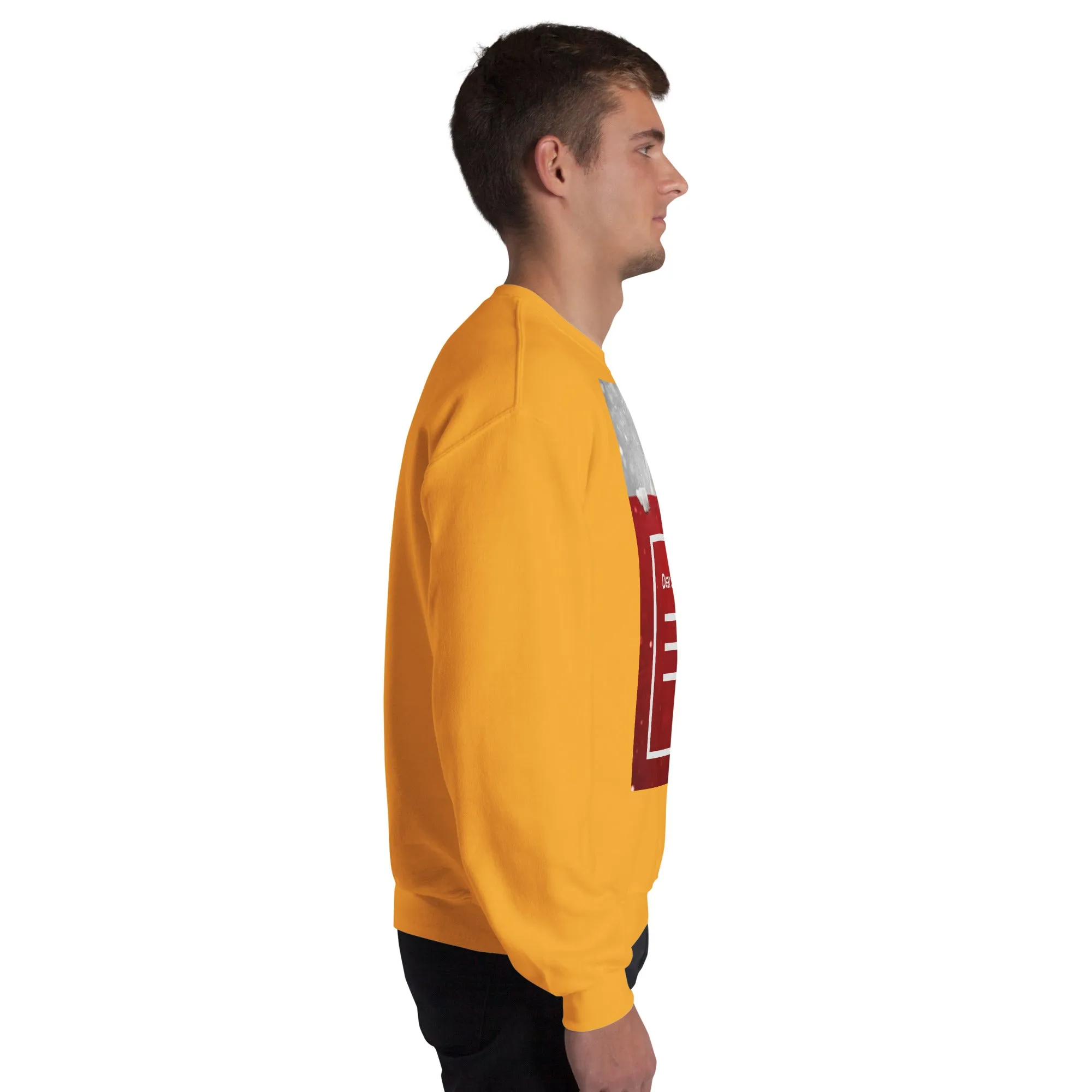Dear Santa Christmas Sweatshirt (Glamourange Christmas Sweatshirt Men)